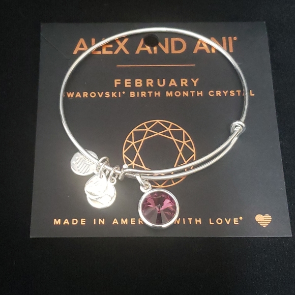 Alex and Ani Jewelry - NWOT Alex & Ani RS February Swarovski Bracelet